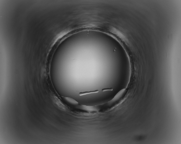 X0000086741308200704131119