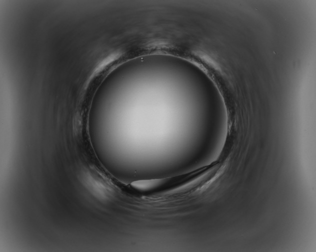 X0000086741309200704131120