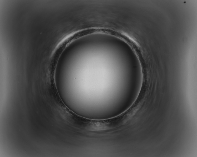 X0000086741311200704131120