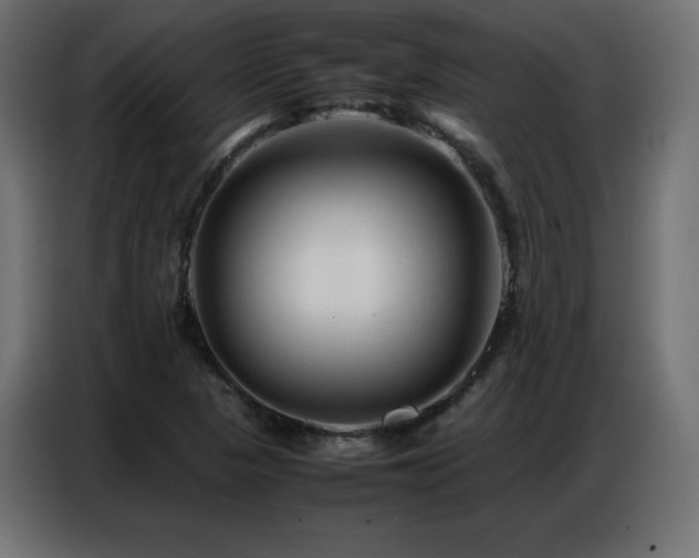 X0000086741313200704131120