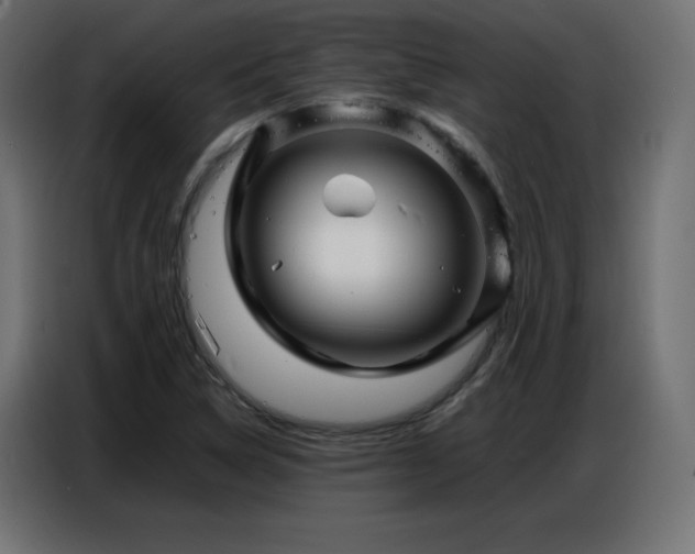 X0000086741314200704131120