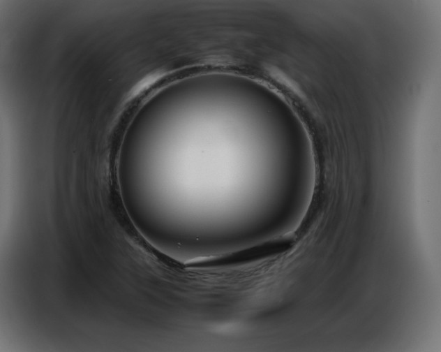 X0000086741315200704131120
