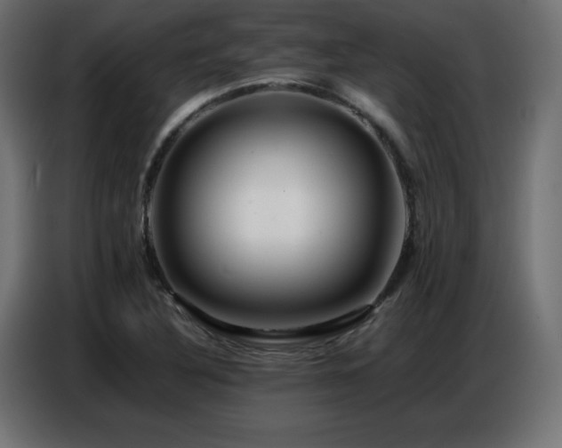 X0000086741316200704131120