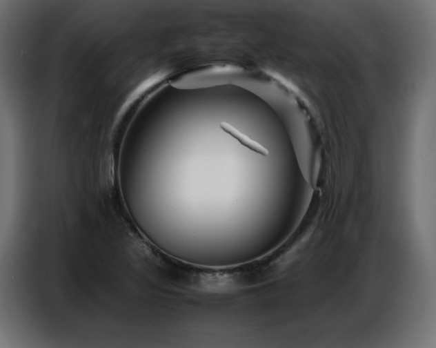 X0000086741317200704131120