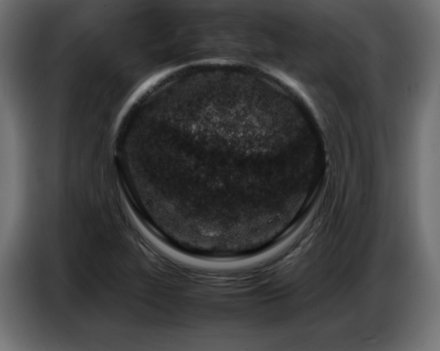 X0000086741319200704131120