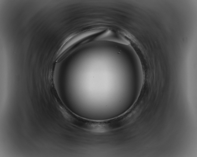 X0000086741321200704131120