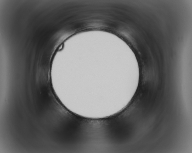 X0000086741322200704131120