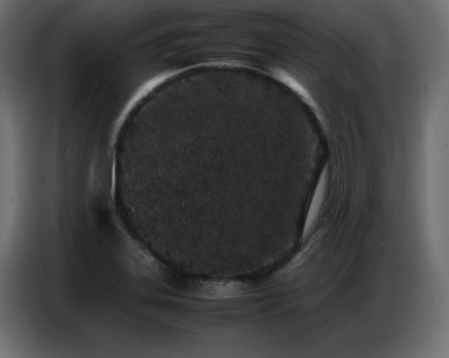 X0000086741323200704131120