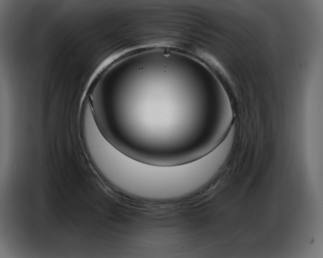 X0000086741324200704131120