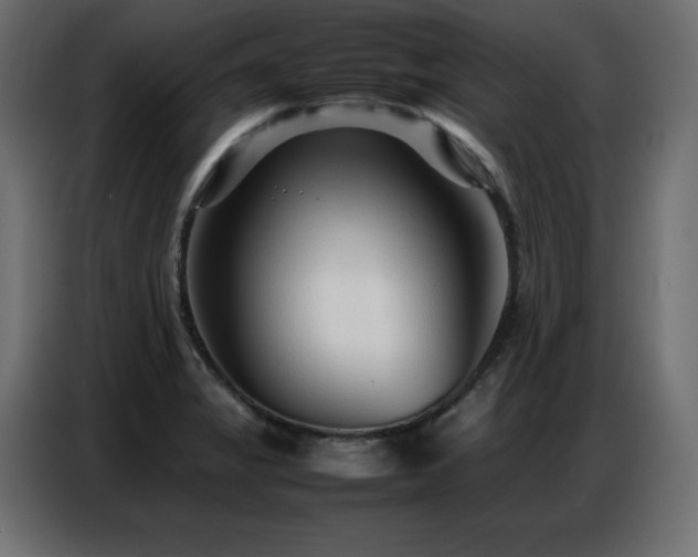 X0000086741325200704131120