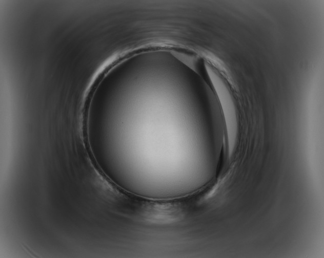 X0000086741326200704131120