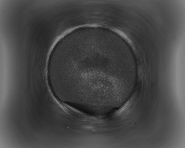 X0000086741327200704131120