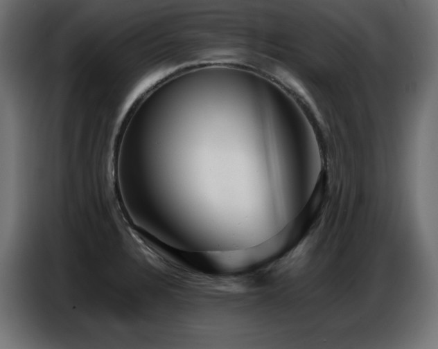 X0000086741328200704131120