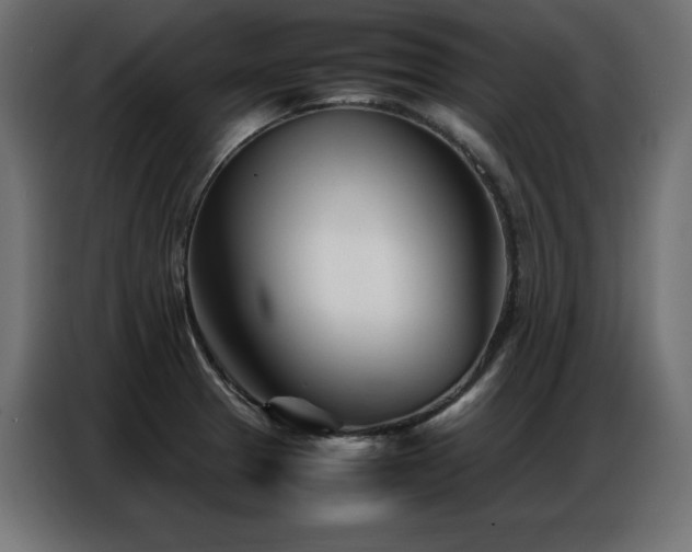 X0000086741329200704131120