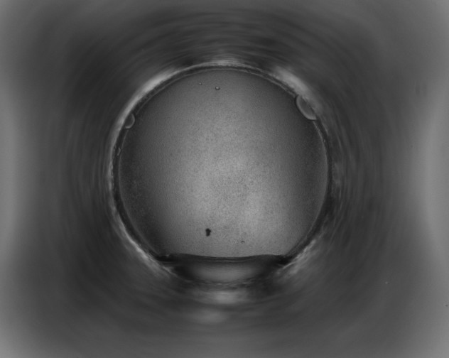 X0000086741331200704131120