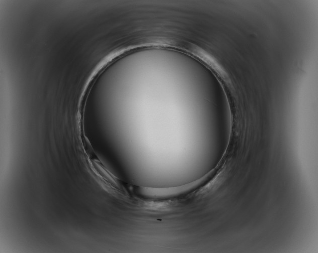 X0000086741332200704131120