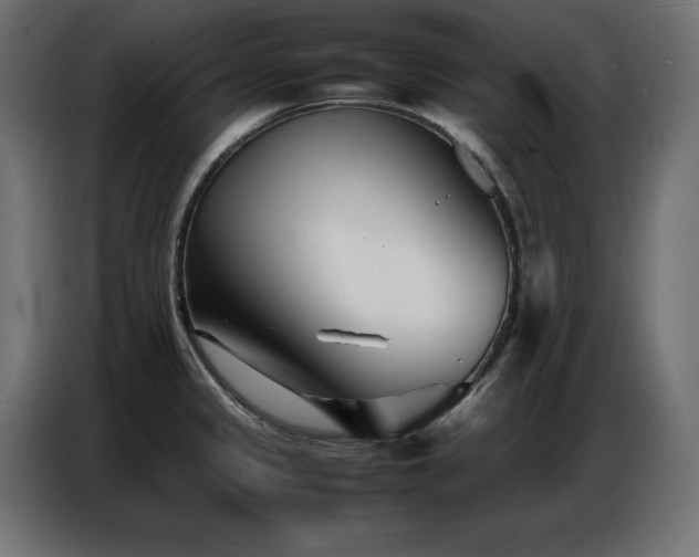 X0000086741333200704131120
