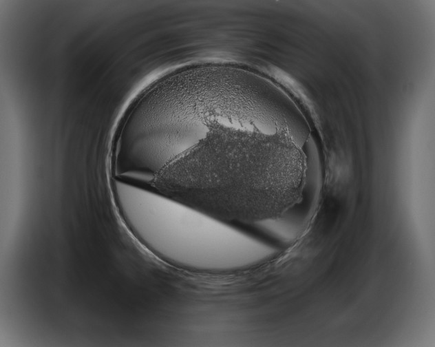 X0000086741334200704131120