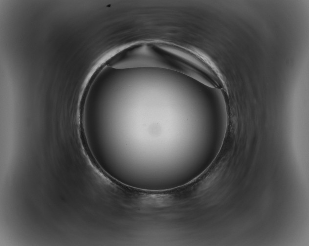 X0000086741335200704131120
