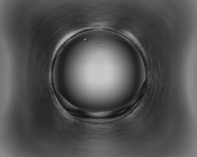 X0000086741336200704131120