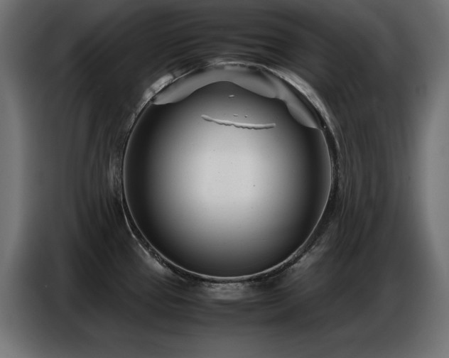 X0000086741337200704131120