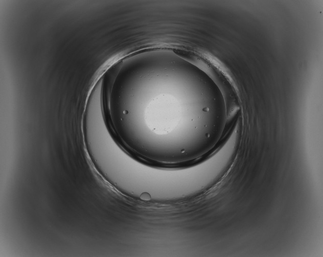 X0000086741338200704131120