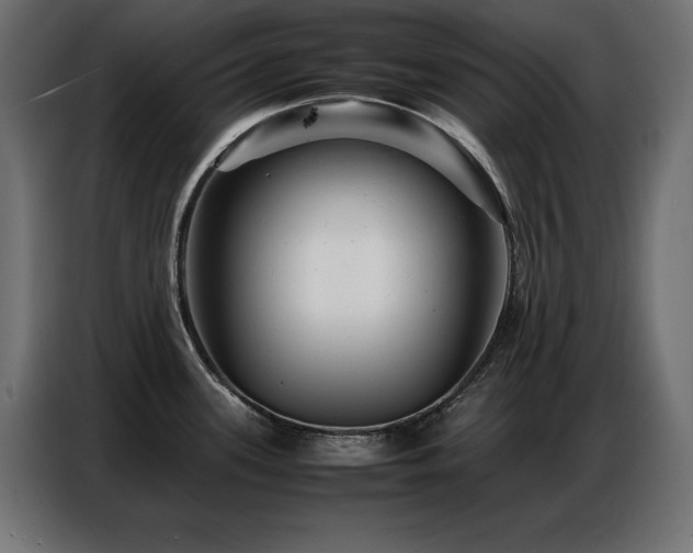 X0000086741339200704131120