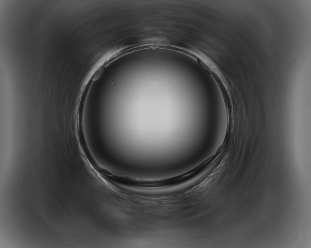 X0000086741341200704131120