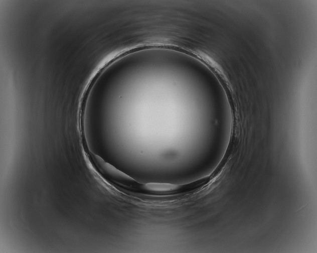 X0000086741342200704131120