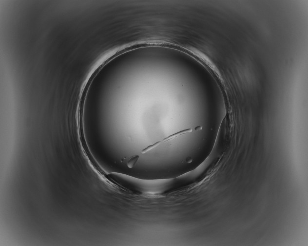 X0000086741343200704131120