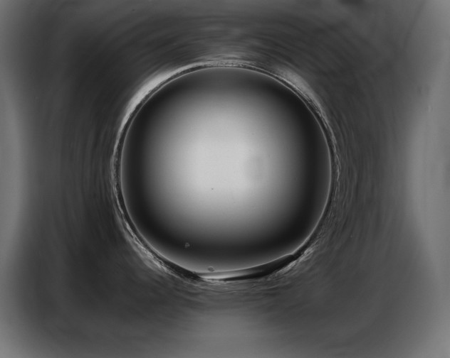 X0000086741344200704131120
