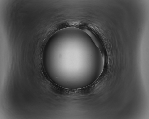 X0000086741345200704131119