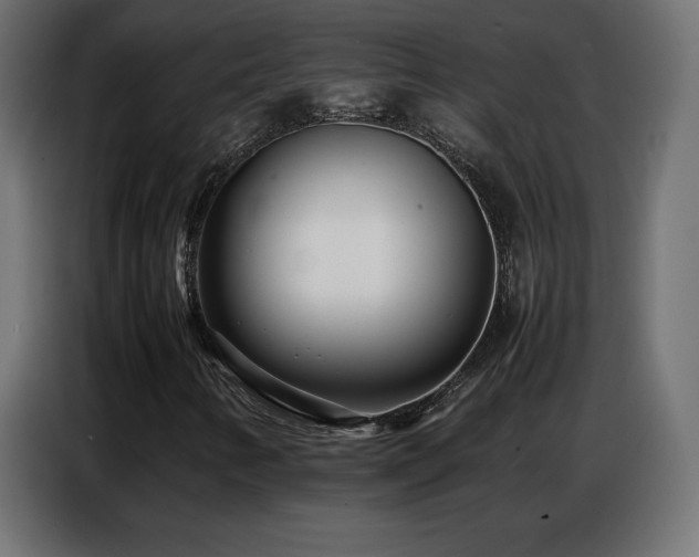 X0000086741346200704131119