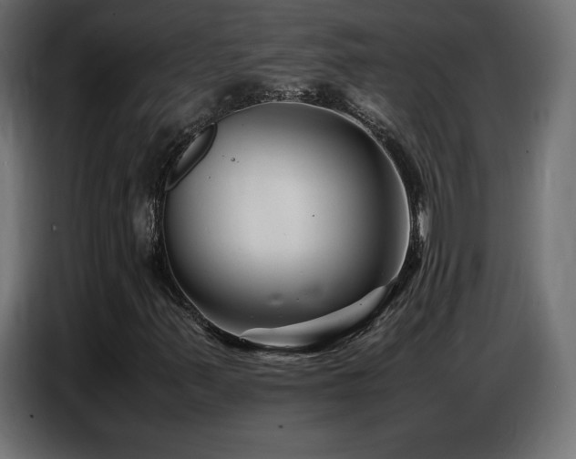 X0000086741347200704131119