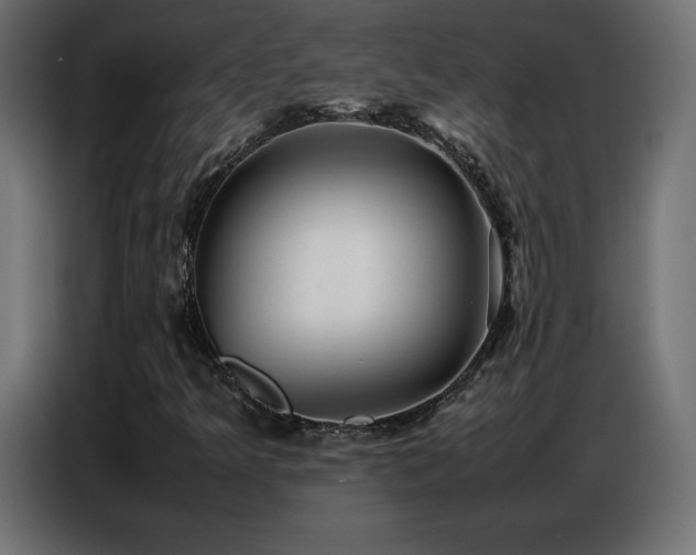 X0000086741349200704131119