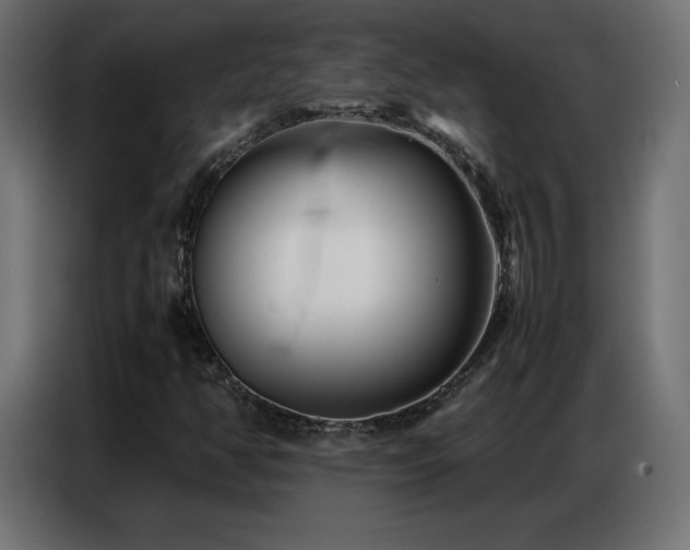 X0000086741350200704131119