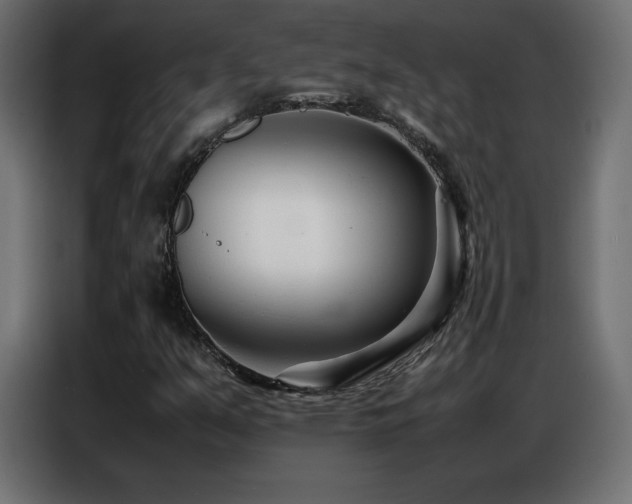 X0000086741351200704131119