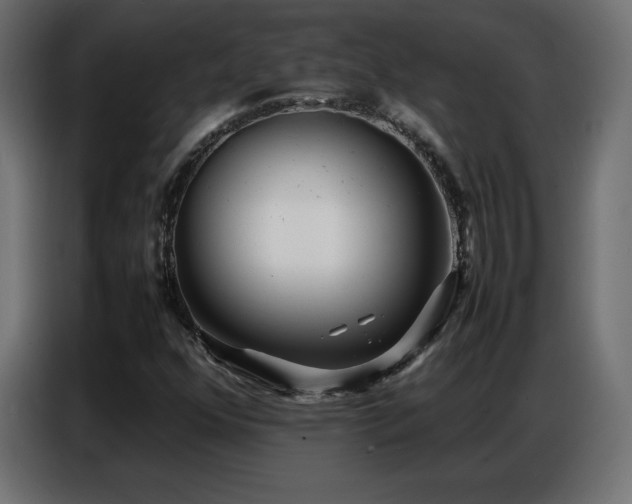 X0000086741352200704131119