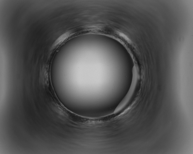 X0000086741354200704131119