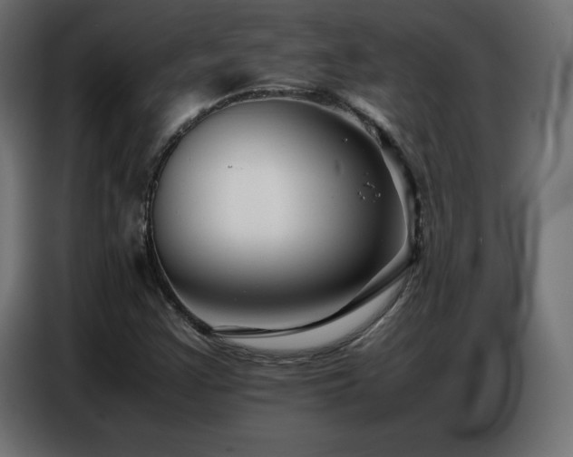X0000086741355200704131119