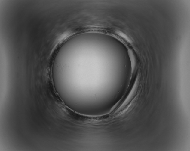 X0000086741357200704131119