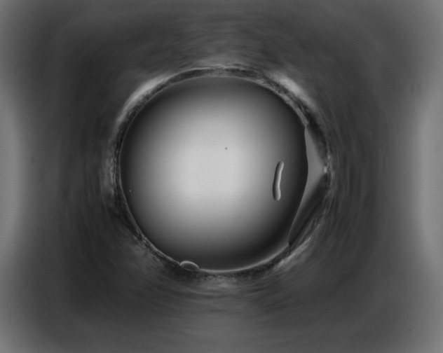 X0000086741358200704131119