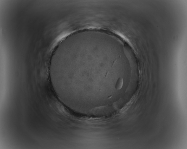 X0000086741359200704131119