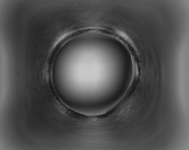 X0000086741360200704131119