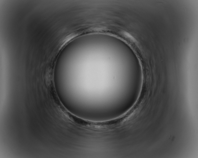 X0000086741361200704131119