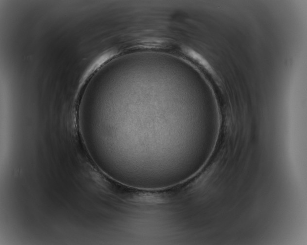 X0000086741362200704131119