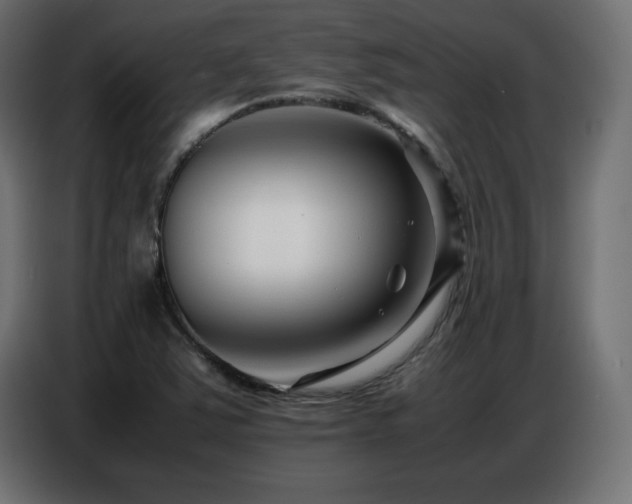 X0000086741363200704131119