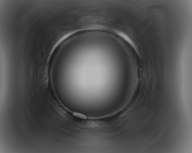 X0000086741364200704131119