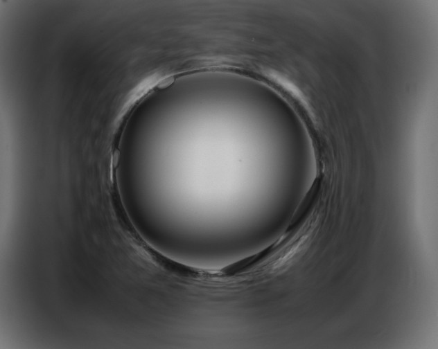 X0000086741365200704131119