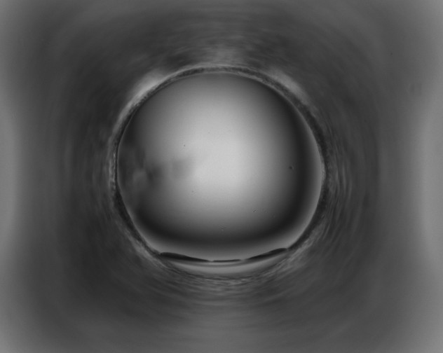 X0000086741366200704131119
